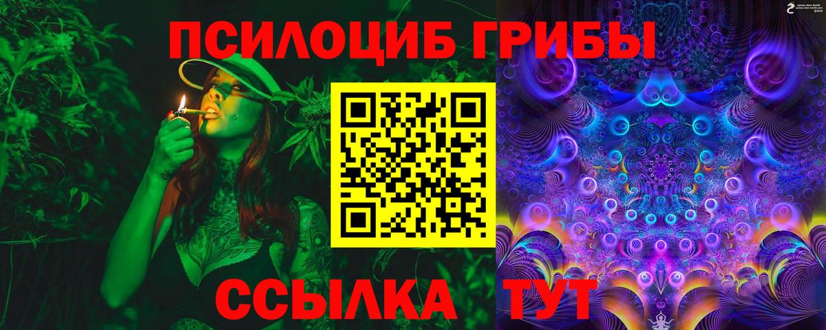 Галлюциногенные грибы ЛСД Богородицк