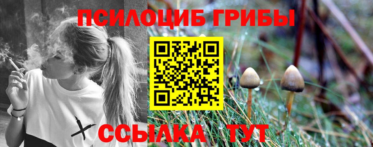 Богородицк  Псилоцибиновые грибы MAGIC MUSHROOMS  Вход с VPN 