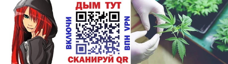 цены наркотик  Богородицк  Бошки Шишки конопля 